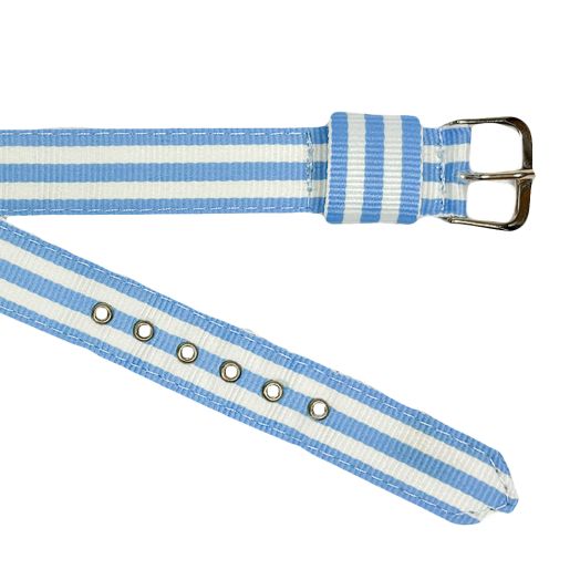 Women's Brass Grommetted Ribbon Watchband - Light Blue with Double White (096486)
