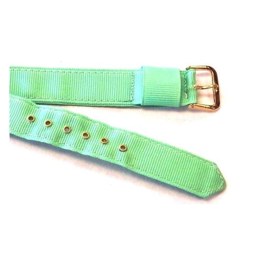 Women's Brass Grommetted Ribbon Watchband - Lime Green (75158)