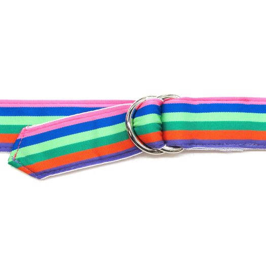 O'Connell's D-Ring Ribbon Belt - Rainbow (WG258)