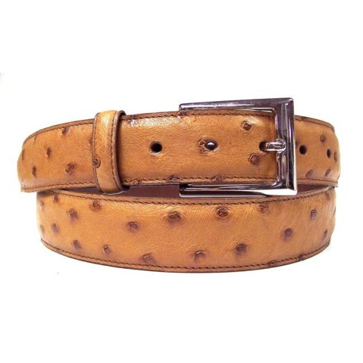 O'Connell's Genuine Ostrich Belt - Cognac