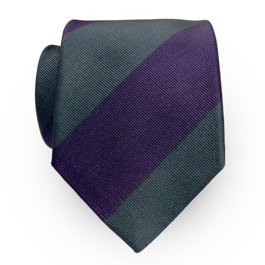 Robert Jensen Silk Wide Stripe Necktie - Purple & Teal (105212)