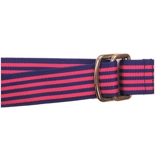 Robert Talbott Rectangular D-Ring Ribbon Belt - Violet with Pink Stripe