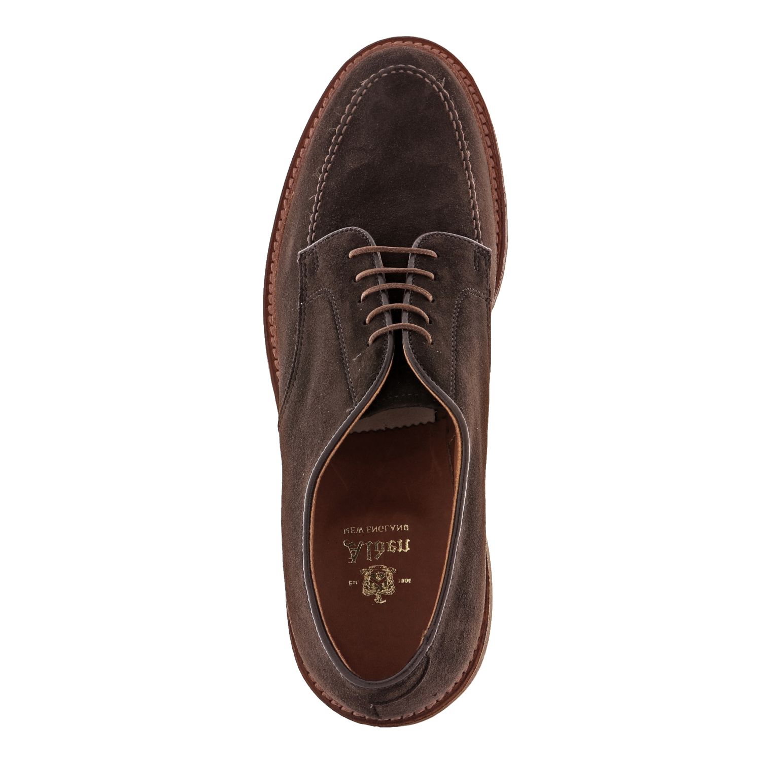 Alden Mocc Toe Blucher - Dark Chocolate Suede ( 704L) | Men