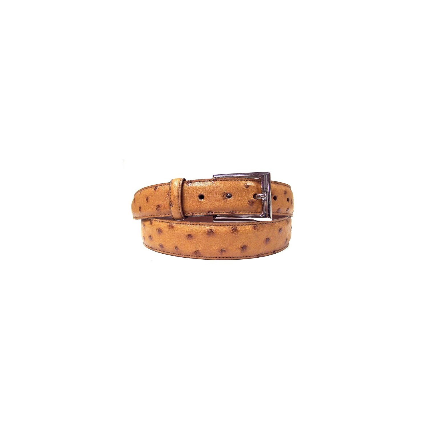 O'Connell's Genuine Ostrich Belt - Cognac | Men's and women's clothing